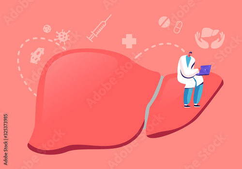 Cirrhosis, World Hepatitis Day, Pancreatitis Concept Tiny Doctor Sitting on Huge Healthy Liver Working on Laptop, Internal Organs Disease Treatment and Health Care Cartoon Flat Vector Illustration