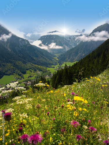 Tal in den österreichischen Alpen mit Blumen und Bergen