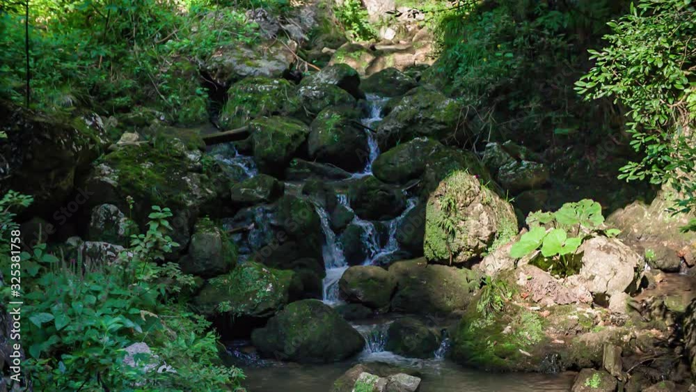 Forest Waterfall Flowing Down Through Rocks. Pan Up Forest Waterfall Flowing Down Through Rocks. Pan Up