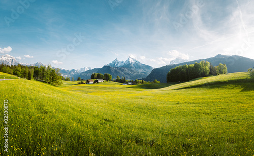 Fototapeta Naklejka Na Ścianę i Meble -  Idyllic mountain scenery in the Alps with lush blooming meadows in springtime