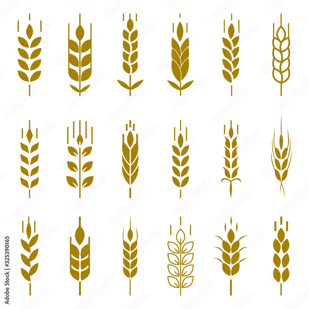 Wheat ear symbols for logo design. Wheat ear symbols for logo design.