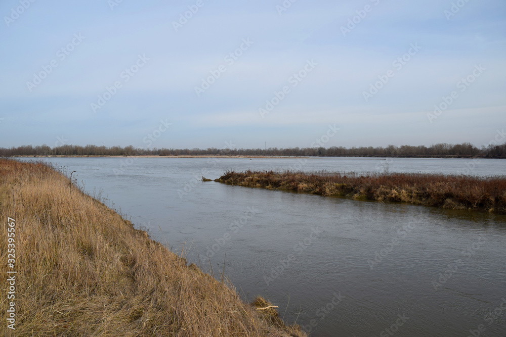 Wild Vistula river