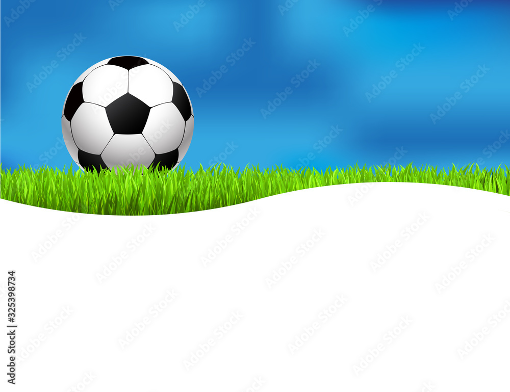 Obraz premium Fussball