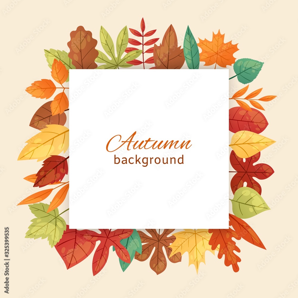 Fototapeta Autumnal background with autumn maple leaves fall season greeting card, poster, flyer vector illustration. Autumn leaves frame isolated on a white background with lettering.