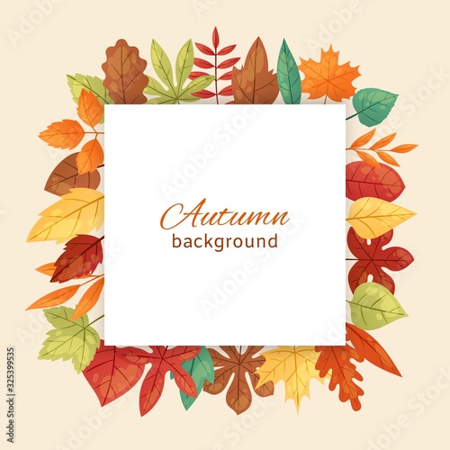 Autumnal background with autumn maple leaves fall season greeting card, poster, flyer vector illustration. Autumn leaves frame isolated on a white background with lettering.