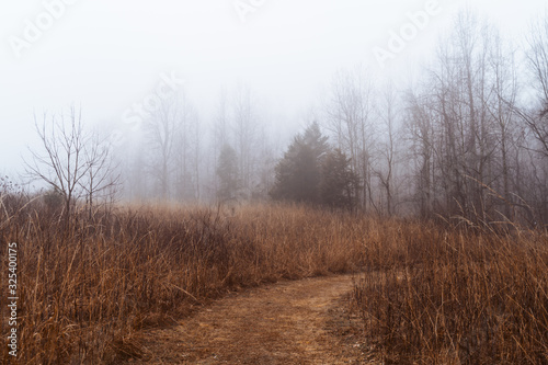 Foggy Winter Morning in Virginia photograph