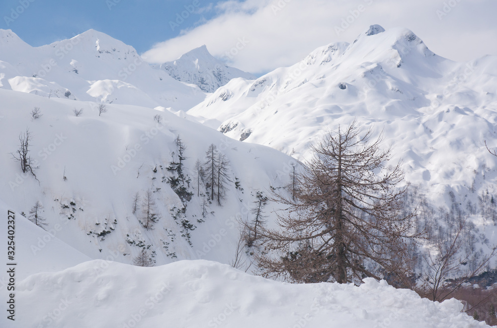 Fototapeta premium winter in mountains