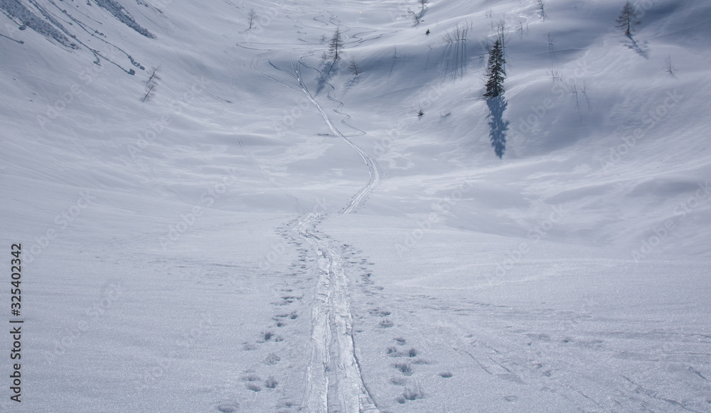 Backcountry ski tracks Backcountry ski tracks