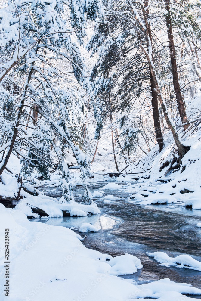winter in the forest with stream