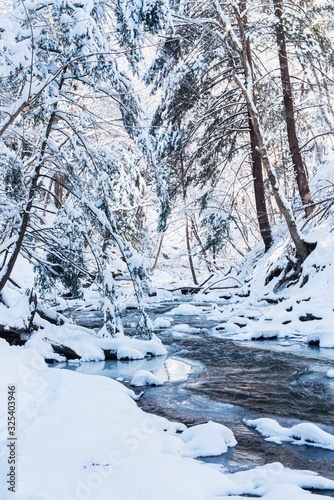 winter in the forest with stream © Maria