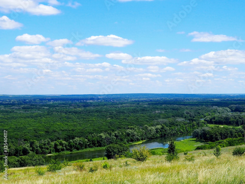 country landscape of nature on a summer day