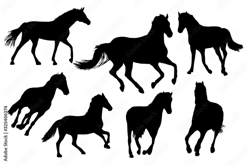 Adult race horses silhouettes set on white background