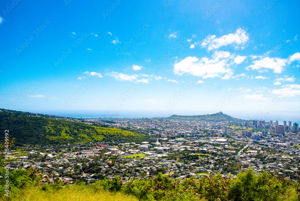 Fototapeta premium Honolulu Panoramic View