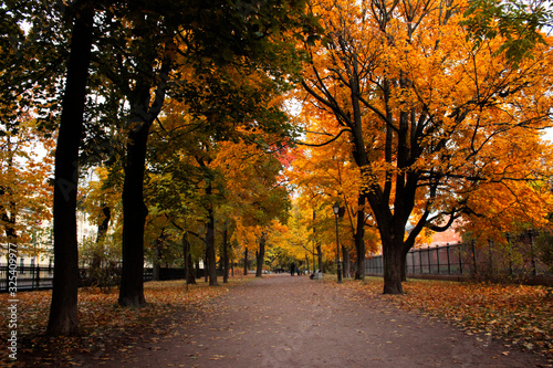 Fototapeta Naklejka Na Ścianę i Meble -  Golden Autumn in St petersburg, Russia