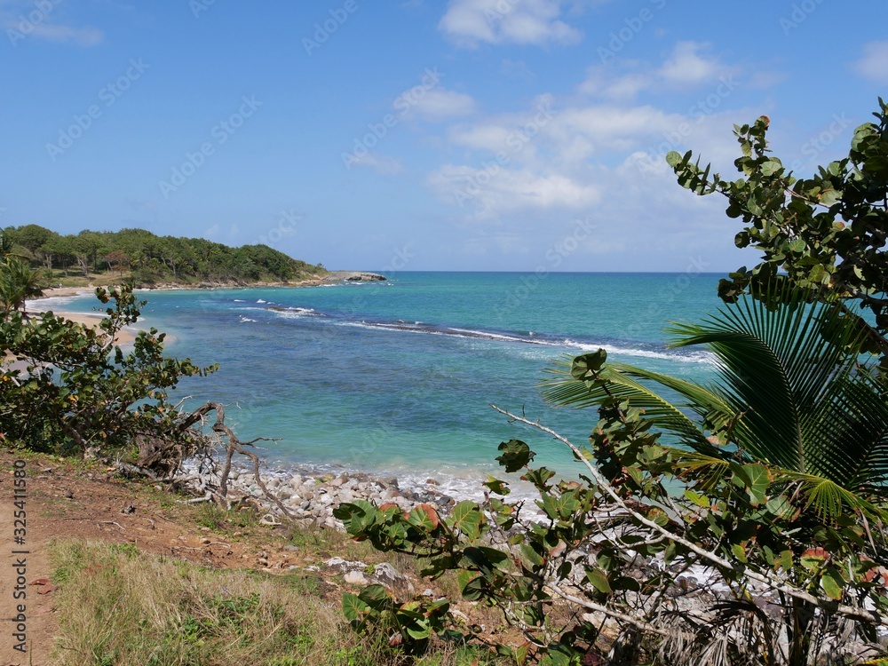 Grand cul de sac marin à la Pointe Nogent nord Basse-Terre en Guadeloupe