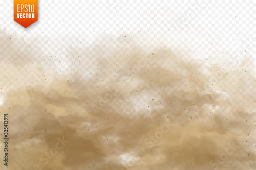 Realistic dust clouds. Sand storm. Polluted dirty brown air, smog. Vector illustration.