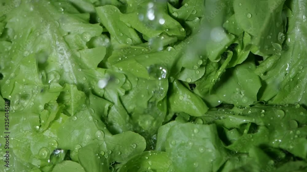 Fresh raw vegetable with water droplets splashing in slow motion