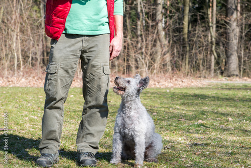 man walking with dog in the forest
