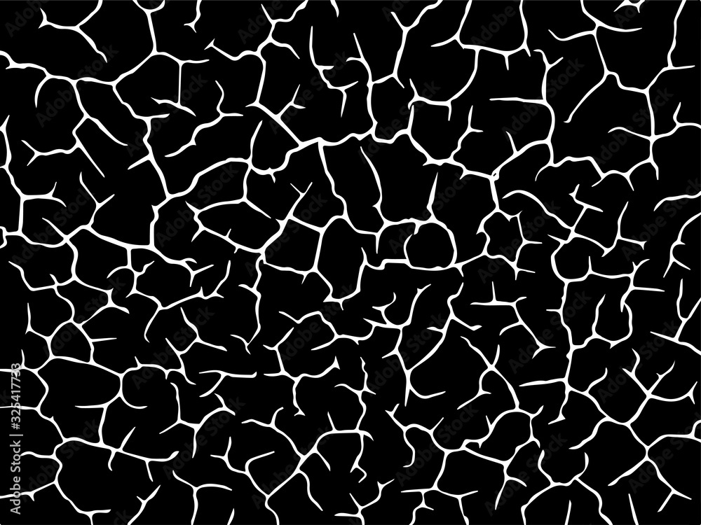 Fototapeta premium The cracks texture white and black. Vector background.Cracked earth. Structure of cracking. Cracks in dry surface soil texture. shards