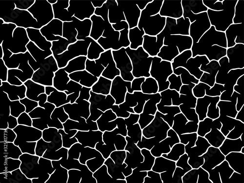 The cracks texture white and black. Vector background.Cracked earth. Structure of cracking. Cracks in dry surface soil texture. shards