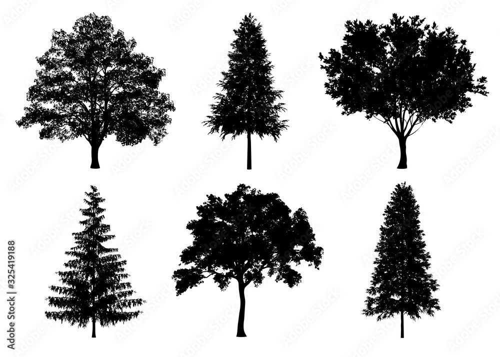 Naklejka Beautiful collection tree silhouettes and cutting on a white background with clipping path.