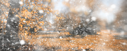 Background autumn park in the first snow © alexkich