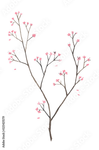 Hand Drawn Watercolor Branch with Pink flowers