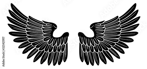 A pair of wings possibly belonging to an angel or eagle or other bird
