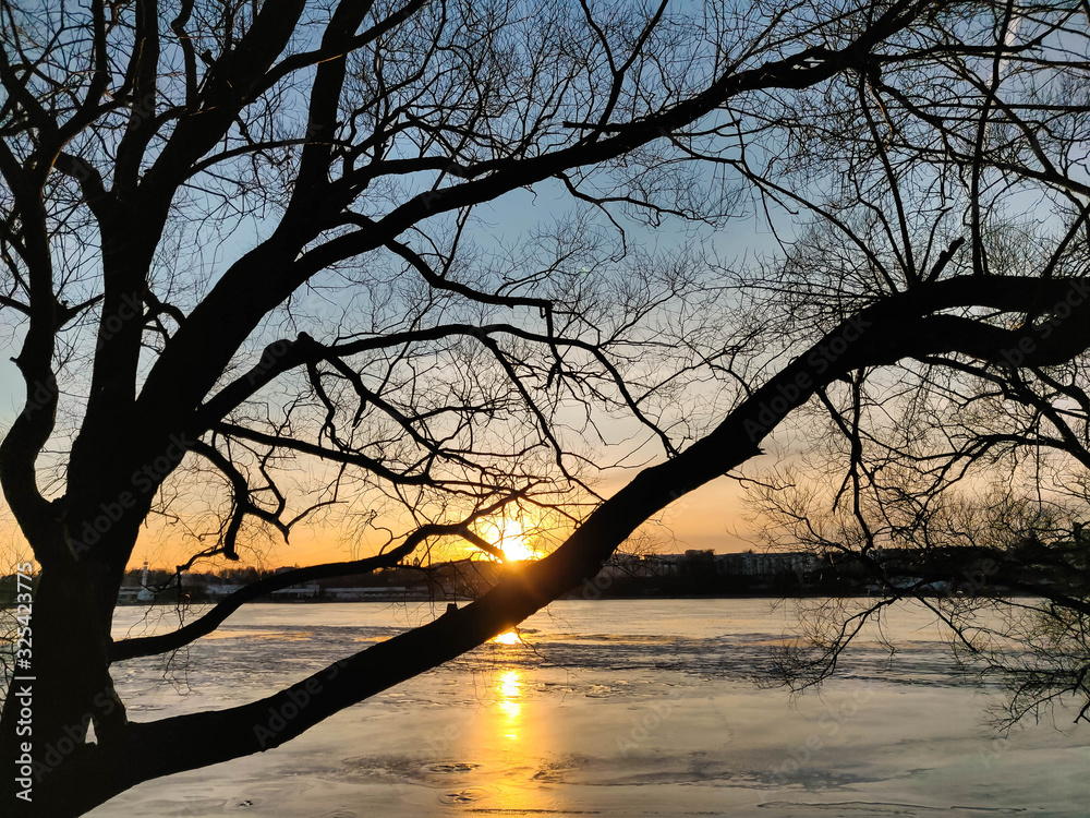 winter sunset over an ice-covered river on the banks of which trees grow