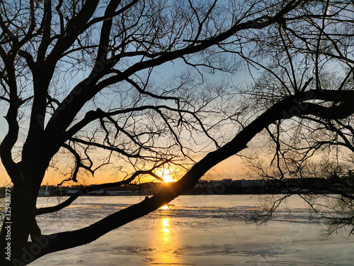 winter sunset over an ice-covered river on the banks of which trees grow