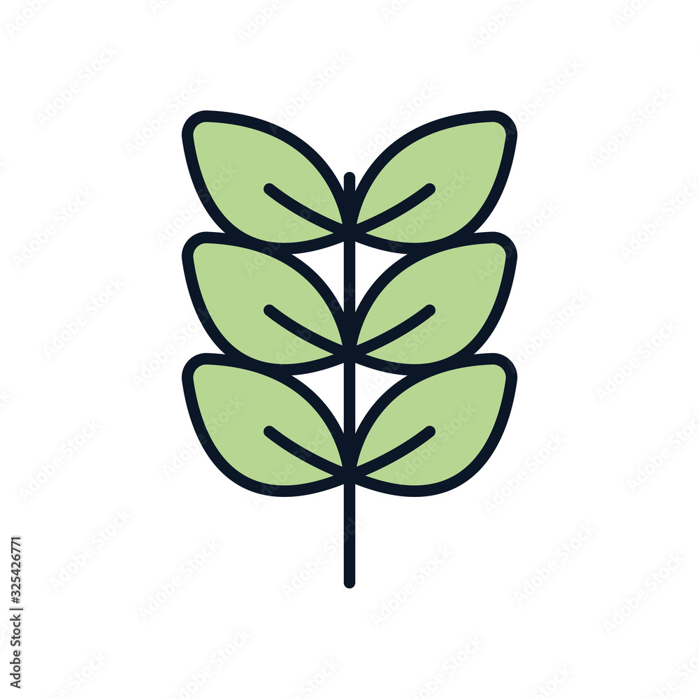 Isolated natural leaves line fill style icon vector design Isolated natural leaves line fill style icon vector design