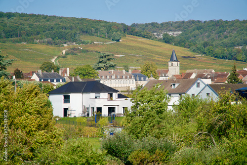 Vosne-Romanee