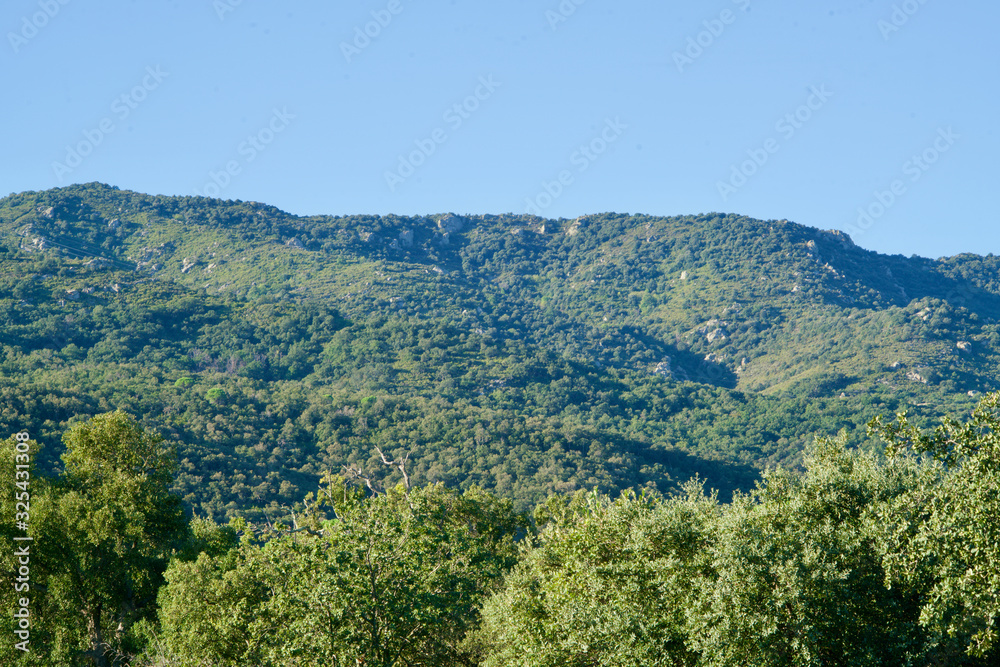 Greened mountains under a blue sky