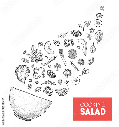 Salad sketch. Food illustration. Cooking salad design. Food menu elements. Hand drawn. Flying salad concept. Vector illustration on white background. Healthy and organic food. Vegan menu.