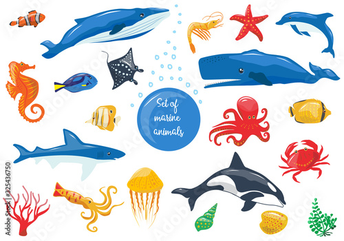 Big set of marine animals:  stingray, bright sea fish, whale, dolphin, killer whale, shark, octopus,crab, jellyfish, seahorse, shrimp, starfish, shell, squid, seaweed. Vector illustration isolated on 