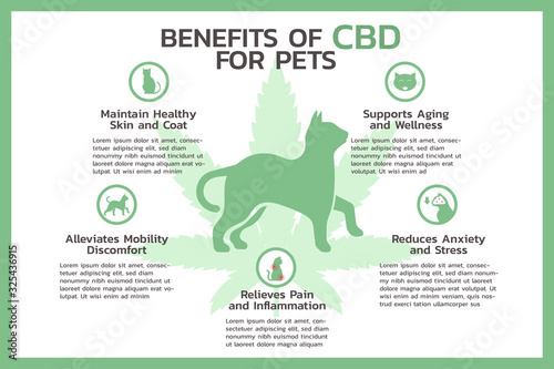 Fotografie, Obraz benefits of CBD for pets infographic, healthcare and medical about cannabis, hem