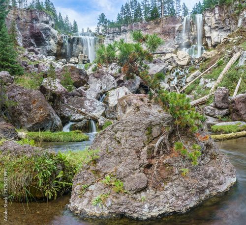 A single Lodgepole Pine grows from a volcanic rock at the base of Paulina Creek Falls, in Newberry National Volcanic Monument, Oregon. photo