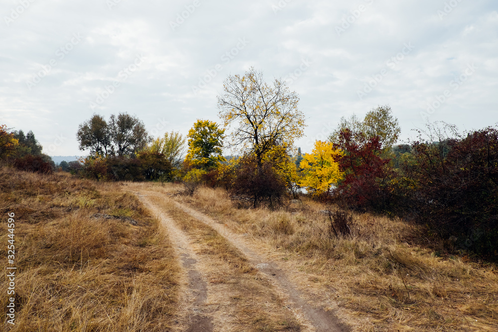 Fototapeta premium Road in lush autumn forest. Yellow, green fall colorful trees. Beautiful off-road trail through autumnal park. Nature view with fallen leaves along alley. Outdoor and travel. Countryside landscape.