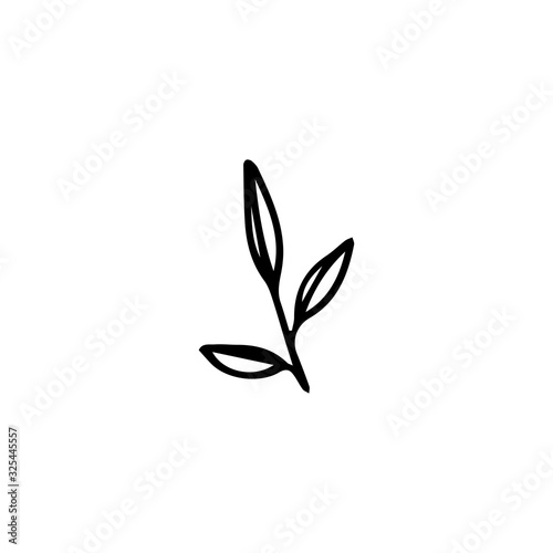 Hand drawn leaves flat vector icon isolated on a white background.