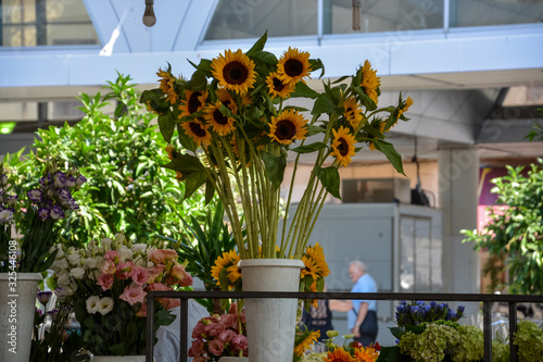 Different kinds of flowers at a street market