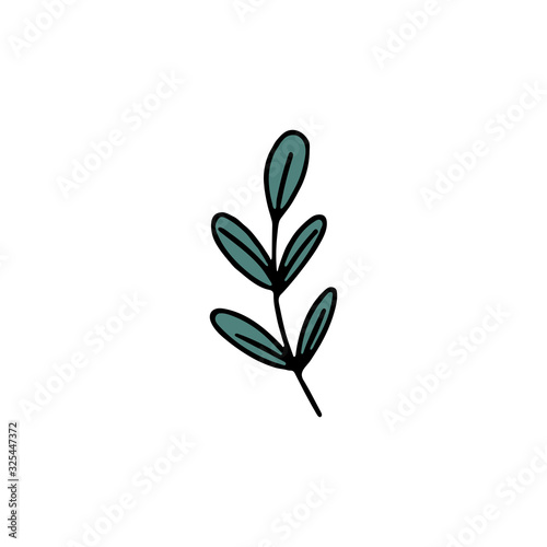 Hand drawn green leaf flat vector icon isolated on a white background.