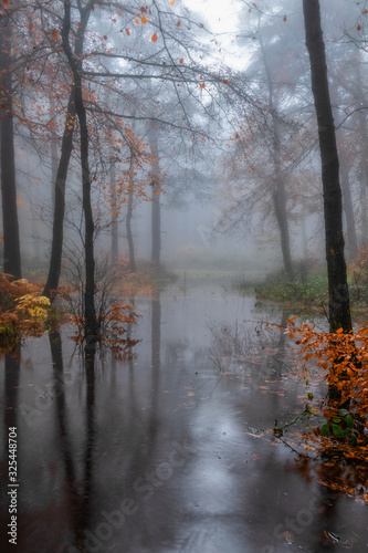 Misty Lake Portrait © Paul