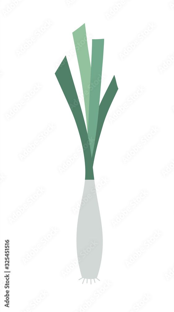 Leek icon in flat style