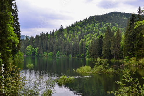 Fototapeta Naklejka Na Ścianę i Meble -  panoramic view of the lake and the forests around, Synevyr Lake, Ukraine