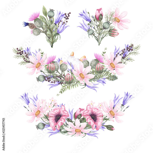 Set of watercolor illustrations of wildflowers: chamomile, poppy, thistle, bell and herbs. Elements are isolated on a white background. Design for printing on cards, invitations, textiles, fabric and 