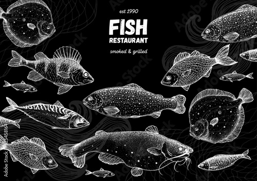 Fish sketch collection. Hand drawn vector illustration. Seafood frame vector illustration. Food menu illustration. Hand drawn flounder, mackerel, perch, catfish, bream. Sea and river fish.