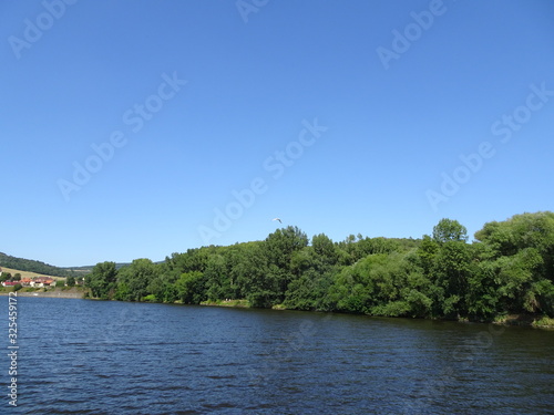 landscape with river and trees