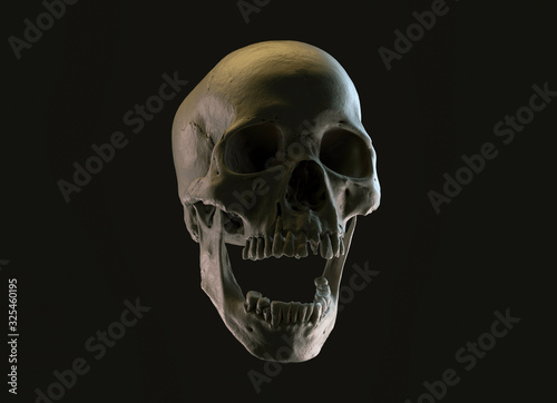 Human skull on Rich Colors a Dark Isolated Background. The concept of death, horror. A symbol of spooky Halloween. 3d rendering illustration.