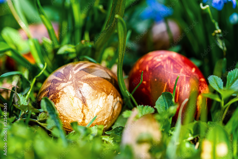 Multicolored easter eggs in green grass. Easter concept Multicolored easter eggs in green grass. Easter concept
