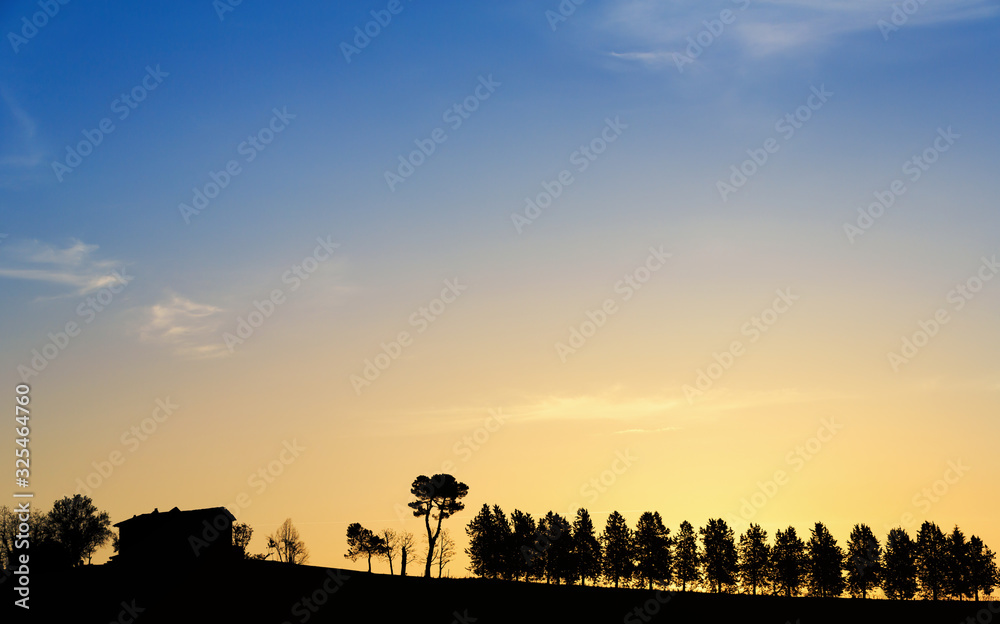 Silhouette of a house and some trees on a ridge, Barbaresco, Langhe, Piemonte, Italy